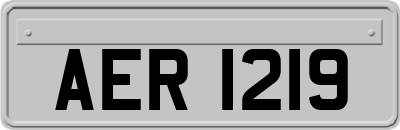 AER1219