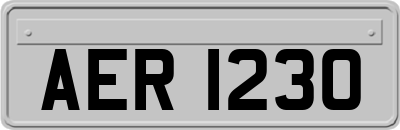 AER1230