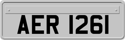 AER1261