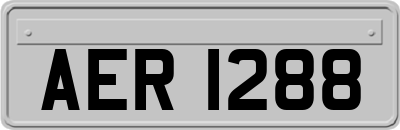 AER1288