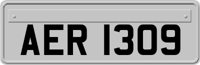 AER1309