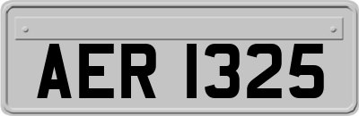 AER1325