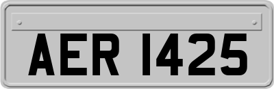 AER1425