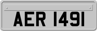 AER1491