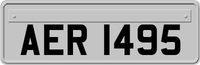 AER1495