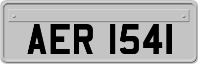 AER1541