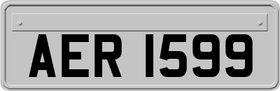 AER1599