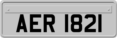 AER1821