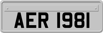 AER1981
