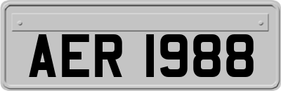 AER1988