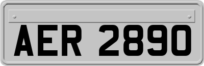 AER2890