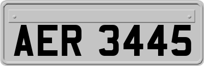 AER3445
