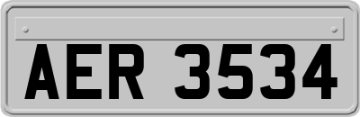 AER3534