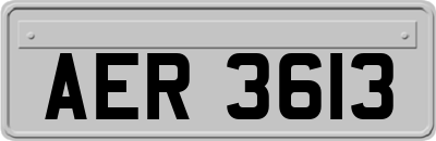 AER3613