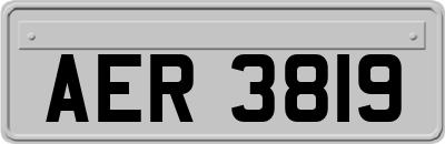 AER3819