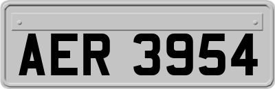 AER3954