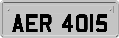 AER4015