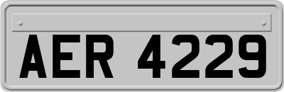 AER4229