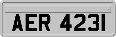AER4231