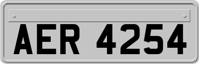 AER4254