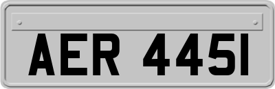 AER4451