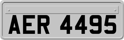 AER4495