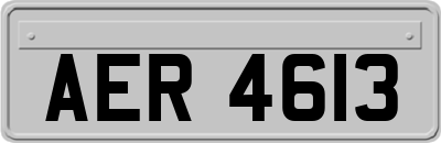 AER4613