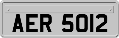 AER5012