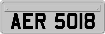 AER5018