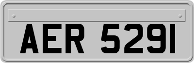 AER5291