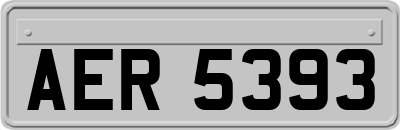 AER5393