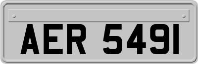 AER5491