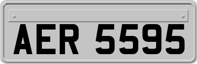 AER5595
