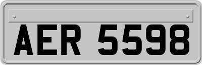 AER5598