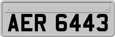 AER6443