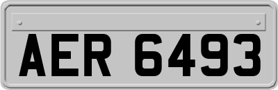 AER6493