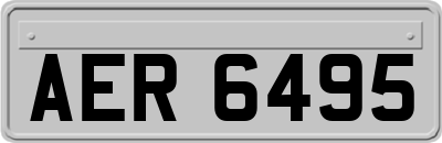 AER6495