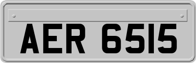 AER6515