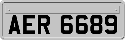 AER6689