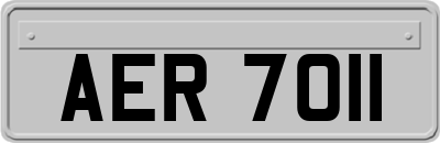 AER7011