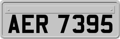 AER7395