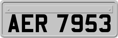 AER7953