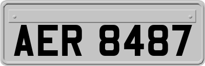 AER8487