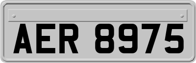 AER8975