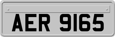 AER9165