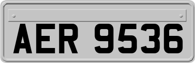 AER9536