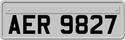 AER9827