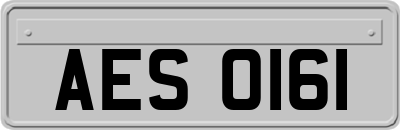 AES0161