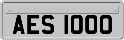 AES1000