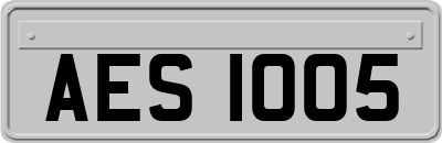AES1005